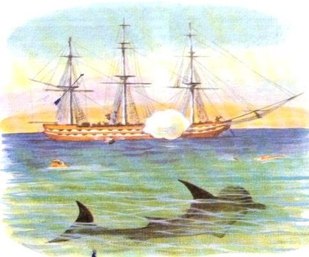 Л толстой акула