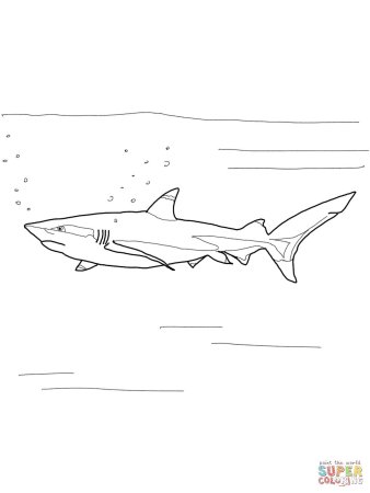 Акула толстой раскраска