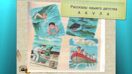 Лев Николаевич толстой рассказ акула