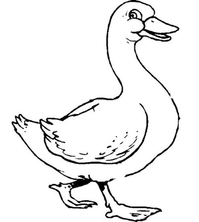Гусь раскраска