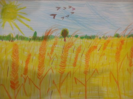Рисование хлебное поле подготовительная группа