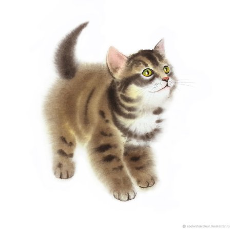 Нарисовать полосатого котенка