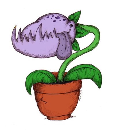 Растение хищник герань