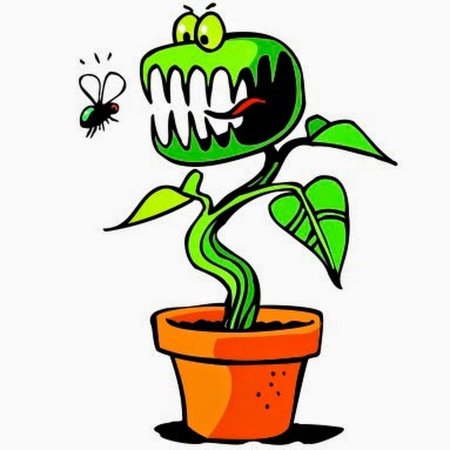 Венерина мухоловка мультик