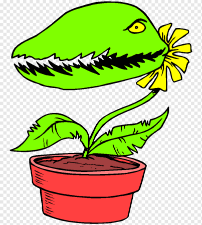 Венерина мухоловка нарисовать