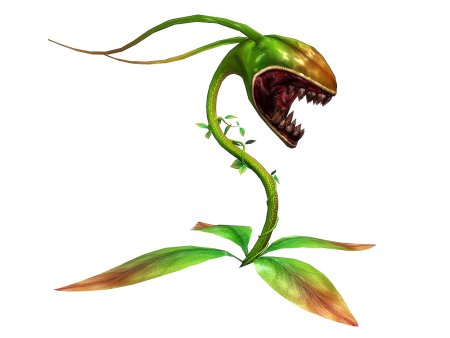 Злое растение