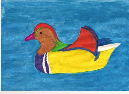 Нарисовать утку мандаринку