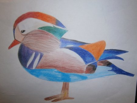 Утка Мандаринка