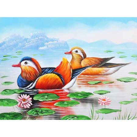 Рисунок утки мандаринки