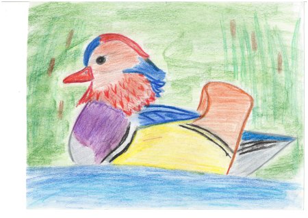 Нарисовать утку мандаринку