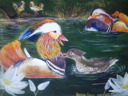 Мандаринка утка Везелка Белгород