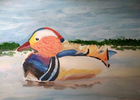 Рисуем утку мандаринку