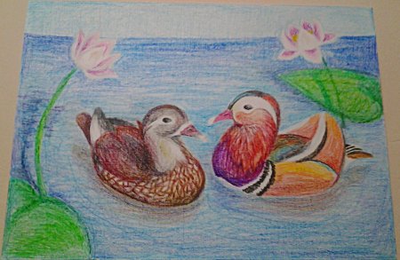 Рисование утки мандаринки