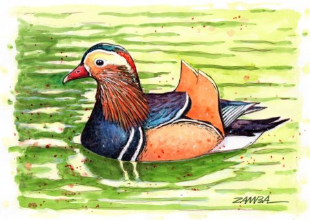 Рисуем утку мандаринку