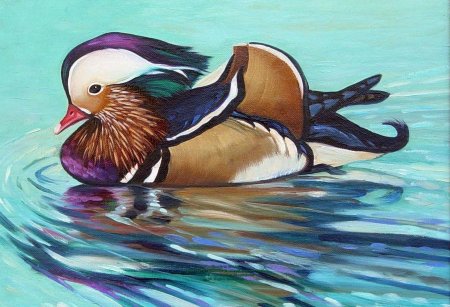 Утка Мандаринка самец