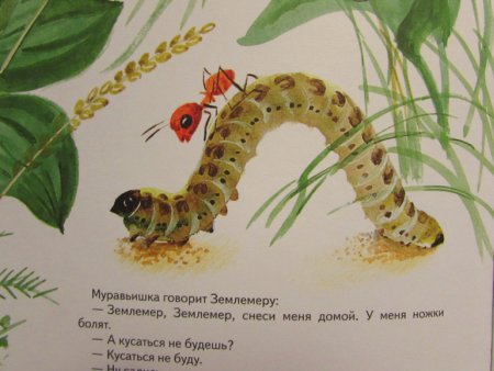 Приключения муравьишки Бианки Землемер