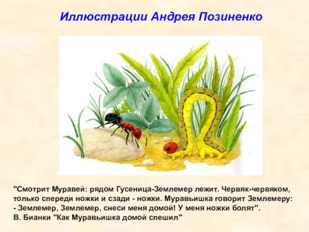 Гусеница Землемер