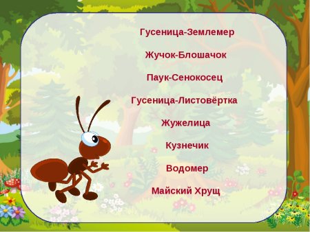 Гусеница черно белая