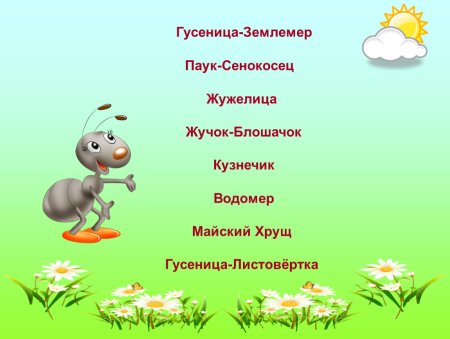 Сороконожка мультяшная