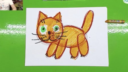 Рисование кошки в средней группе