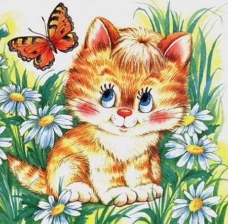 Котик для детей