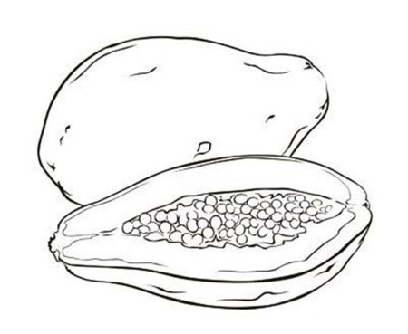 Папайя рисунок карандашом