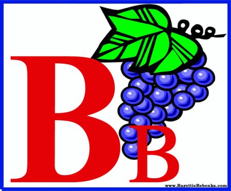 Азбука. Буквы