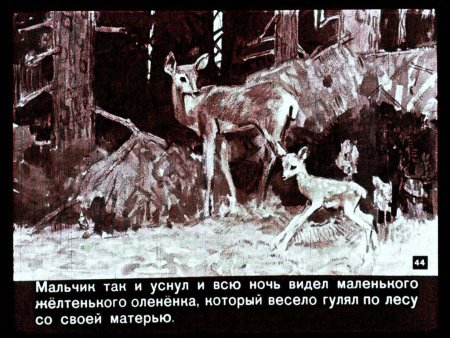 Мамин Сибиряк Емеля охотник иллюстрации