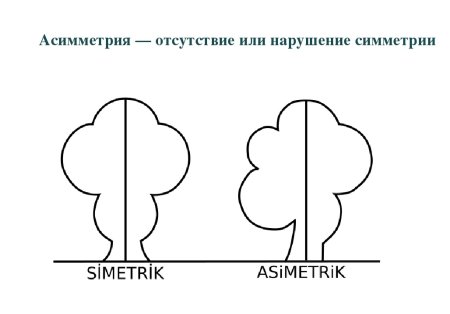 Симметрия и асимметрия рисунок