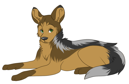 Шакал для детей