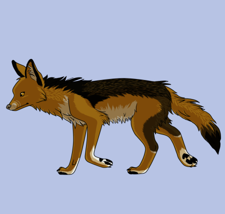 Нарисовать шакала