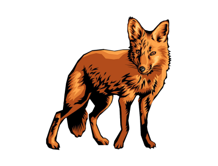 Шакал для детей