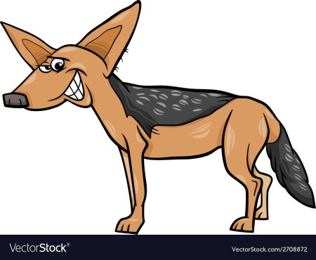 Шакал лежит вектор