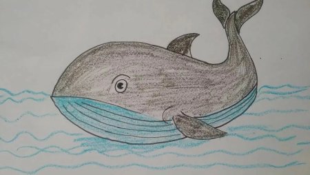Рыба кит рисование для детей
