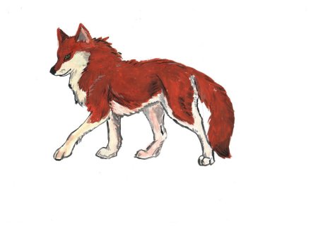 Рисуется красный волк