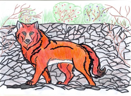 Нарисовать красного волка