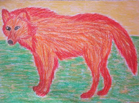 Красный волк рисунок