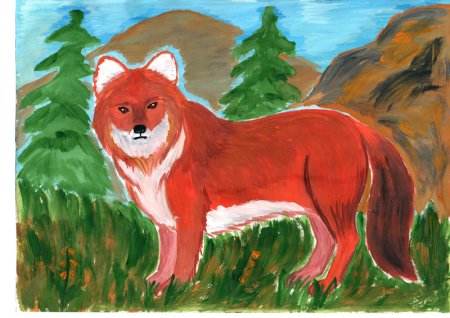 Рисунки животных из красной книги