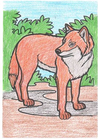 Красный волк и серый волк