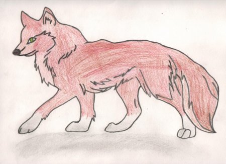 Красный волк для срисовки