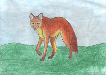 Волк рисунок карандашом для детей