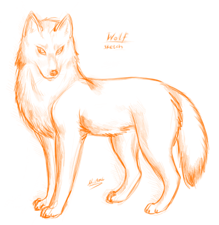 Красный волк раскраска
