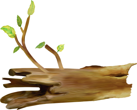 Ветки деревьев мультяшные