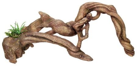 Коряга без фона