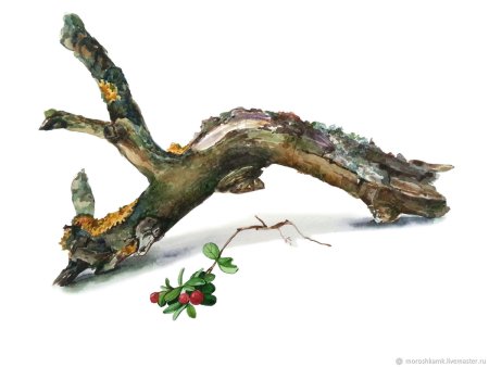 Сказочная коряга