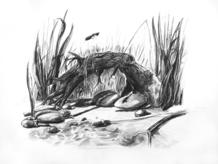 Коряга Графика