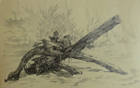 Коряга для рисования