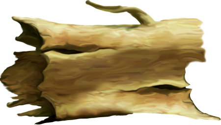 Обломок дерева