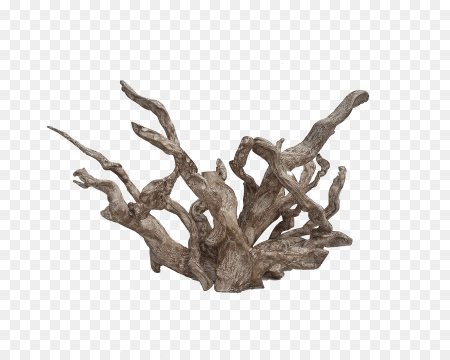 Сухая деревянная коряга