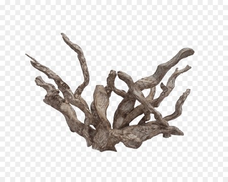 Коряга на прозрачном фоне